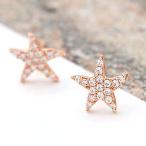 귀걸이선물 골드필드 핀 큐빅 별 일자침 귀걸이 14K