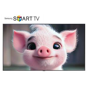 삼성 60인치 4K 스마트 UHD TV 60DU6900 벽걸이 방문설치