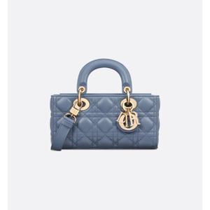 디올 토트백 M0613ONGE90B BLUE DOM