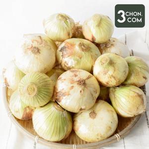 무안 황토 햇 양파(소)10kg