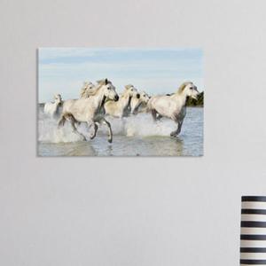 아트박스/꾸밈 cc710-아크릴액자_성공의상징말그림2