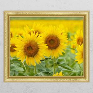 아트박스/꾸밈 ts328-해바라기동산04_창문그림액자