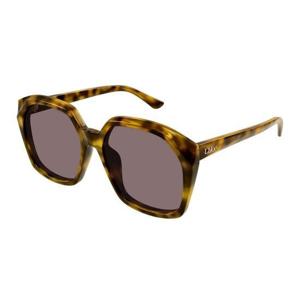 끌로에 선글라스 CH0280S 004 Havana