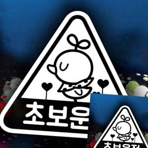 자동차스티커 초보운전 삐약이세모 화이트시트지 차량