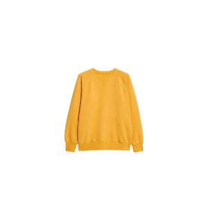 26 SS 포르텔라 하버드 래글런 크루 넥 스웨트셔츠 HARVARD01043 TP449641320