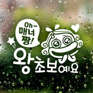 Oh 매너짱 왕초보예요 / 자동차스티커 초보운전