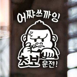 초보운전 어쨔쓰까잉 / 자동차스티커 초보운전