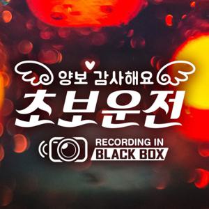 SET 텍스트 양보감사해요 초보운전 블랙박스/ 반사 자동차스티커