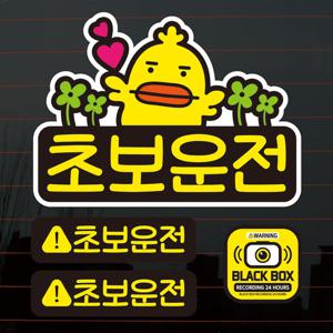 칼라자동차스티커S2_C031_꼬꼬댁 초보운전 02