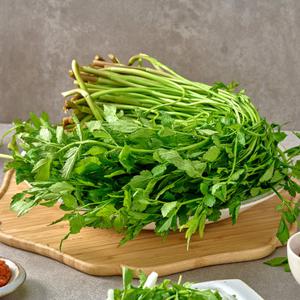 당일수확 향긋한 한재 미나리 500g
