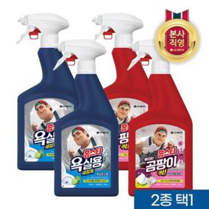 [빠른배송] 홈스타 맥스프레쉬 900mlx4개 (욕실용세정제/뿌리는곰팡이싹) 2종 택1