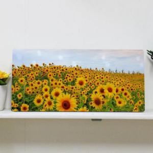 아트박스/꾸밈 da503-폼아크릴액자38CmX18Cm_노을과해바라기꽃밭