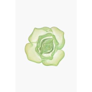 디스퀘어드2 반지 RIW0086 13420001 M2557 Green