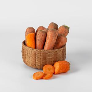 국내산 흙당근 햇 5kg 상