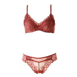 [비너스] 오르화 러스트 데이지 레이스 브라CD컵+티팬티 세트 [OBR5941C_D OPT5941T]
