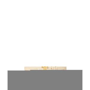 25FW Celine 여성 벨트 45AK94AP601CR TP572000283