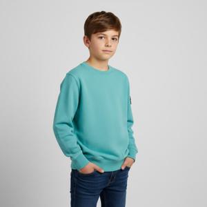 스톤아일랜드  스톤 키즈 와펜 패치 크루넥 맨투맨(아쿠아블루) K1S16 6100011 S0040 V0042