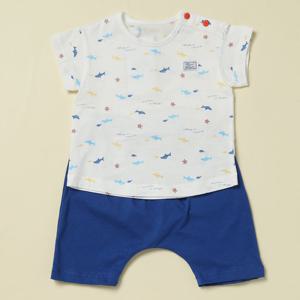 [쇼콜라]정글내의TNOMXS589-B