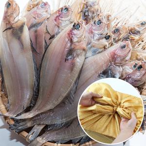 동해 반건조 물가자미(미주구리) 선물세트 1kg