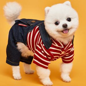 도그아이 강아지옷 포켓멜빵올인원 (DG189)