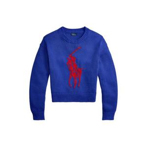 폴로 랄프로렌 빅 포니 스웨터 211A96234001