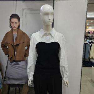 Ab.f.z DP01 뷔스티에 배색블라우스 AFA5HB03