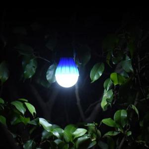 차박 캠핑 야외 조명 램프 무드등 DD-10281