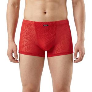 [비비안(언더웨어)]시스루 지브라 패턴 남성 드로즈 PT2100D