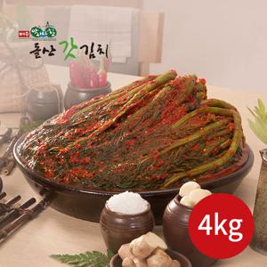 여수돌산갓김치 4kg (2kg+2kg)