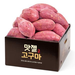 25년 수확 꿀밤고구마 특대사이즈 5kg (280g이상)