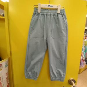 리틀밥독 HC11 비아바지 B251MPT04