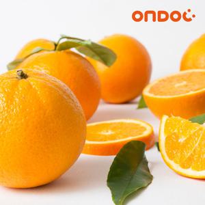 [온도씨]달콤가득 미국산 네이블 오렌지 4kg 내외 (13-26과)