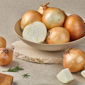 국내산 단단한 양파 5kg 중