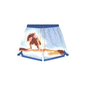 26 SS 디젤 프린트 스윔 쇼츠 A208680IHCM TP446059330