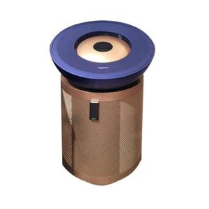 아트박스/다이슨 빅앤콰이엇 포름알데히드 BP04 (블루/골드) [국