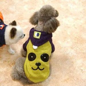 그린 (패리스독) 강이지 고양이 팬더 니트후드티