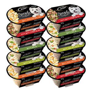 시저 심플리 크래프티드 습식캔 37g 10개입 강아지 습식사료