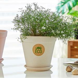 [모던하우스] 뱀부 파이버 팟 M베이지