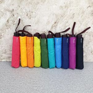 폰지나무손잡이 3단우산 (색상랜덤)