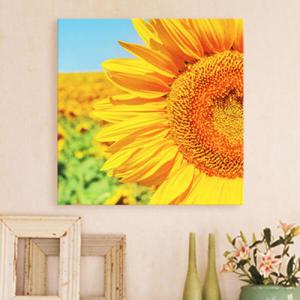 아트박스/꾸밈 ct076-노란해바라기세상_노프레임