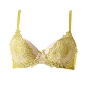 비너스 E컵 오르화만의 화려하고 고급스런 모티브자수브라 3컬러 OBR5942E