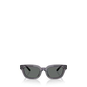 엠포리오 아르마니 선글라스 EA4233U 610687 TRANSPARENT GREY