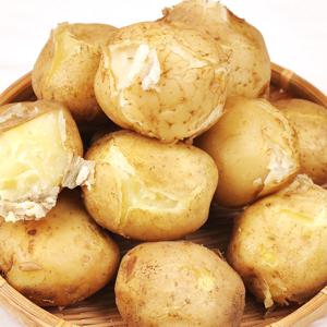 포근포근 감자 5kg (중)