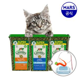 필라인 그리니즈 대용량 595g (택1)+고양이낚시대+베베숲물티슈1팩