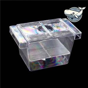 투명 미니 치어 격리통 열대어 부화기 수조 수족관부화통 열대어부화통 쿠피부화통 미니부화통 치어부화통 치어통 산란통 치어받이 부화기 부화통