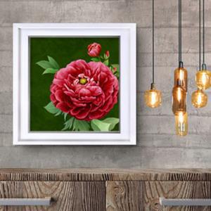 모란 목단 그림 액자 빨강목단 정사각 흰색액자1