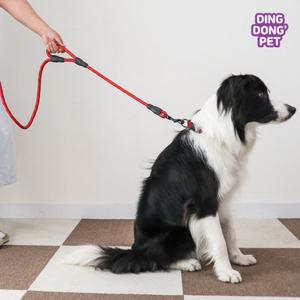 딩동펫 강아지 안전고리 간편리드줄 1.5M