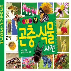 글송이 어린이 첫 곤충 식물 사전 (어린이 첫 사전)