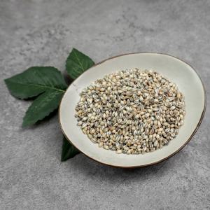 [오색향미] 해남 잡곡 검정통보리 1kg