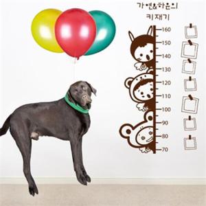 아트박스/꾸밈 pb096-우리아이 키재기사진스티커